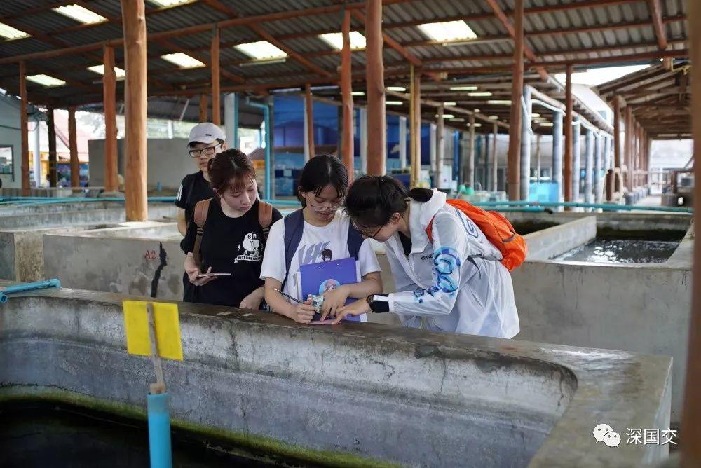 学生物，先去泰国原始丛林体验吧！ 深国交 学在国交 户外 第31张