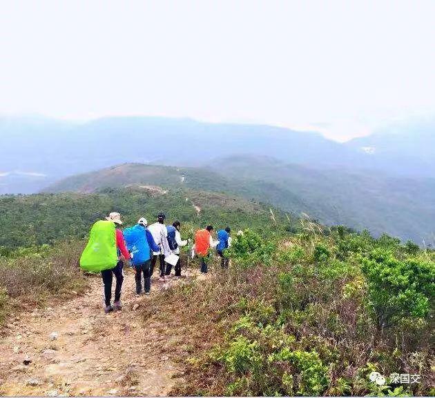 背最重的包、走最难走的路、观最美的景(回顾IA第一次的野外训练) 深国交 学在国交 第5张