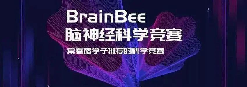 2021年Brain Bee脑科学大赛来袭，你准备好了吗？  深国交 深圳国际交流学院 学在国交 第5张