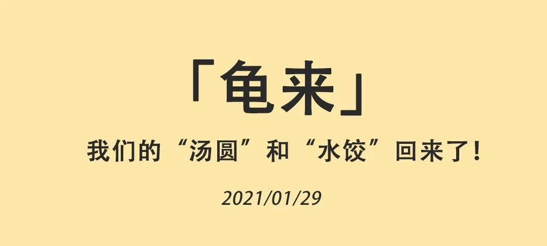 深国交神兽「龟来」 --  “汤圆Scarlett”和“水饺Rhett”移居至安托山 深国交 深圳国际交流学院 学在国交 第1张