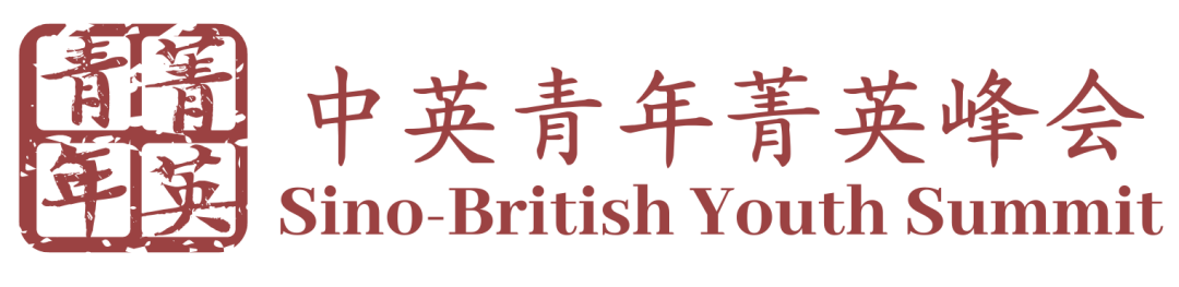 深国交BPC合作项目【志愿者招募正式开启】：2021中英青年菁英峰会  深国交 深圳国际交流学院 深国交商务实践社 第17张