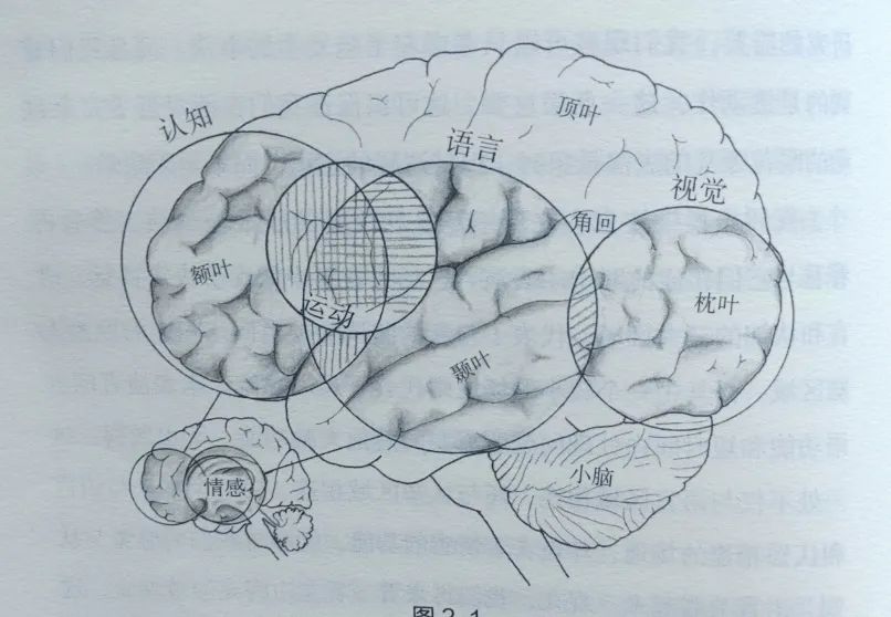 脑科学最新研究：整天刷手机的孩子也许真的不会怎样读书了  第2张