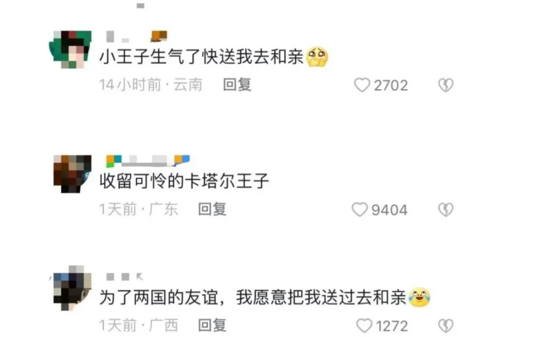 卡塔尔小王子被邀请上春晚，为什么我们要鼓吹一位扎根在苦难与压迫之上的”人造偶像“？  国际化教育理念 第11张