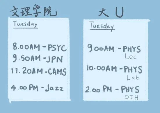 野鸡大学还是象牙塔？文理学院到底是个啥  韦尔斯利wellesley 第5张