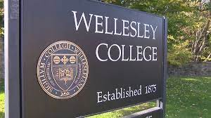 2023年申美RD放榜：美国排名最高女校韦尔斯利仅录取4名内地女孩  数据 留学 韦尔斯利wellesley Winnie 第1张